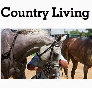 Louisville Sweepstakes