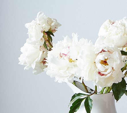 Love Your Home Sweepstakes