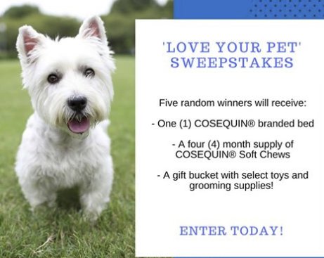 Love Your Pet Sweepstakes