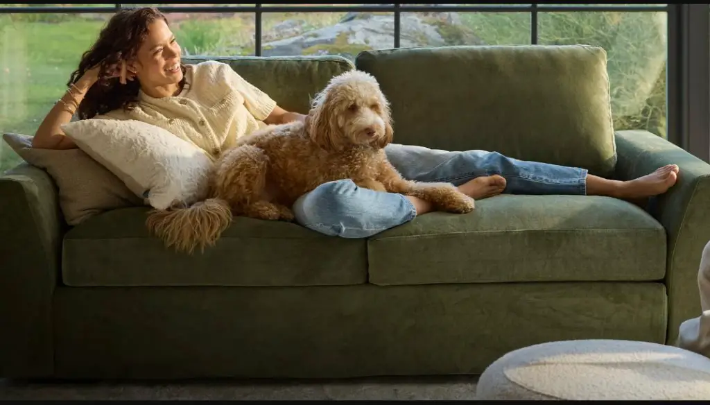 Lovesac Situationship Hotline Giveaway - Win a 2-seater Couch