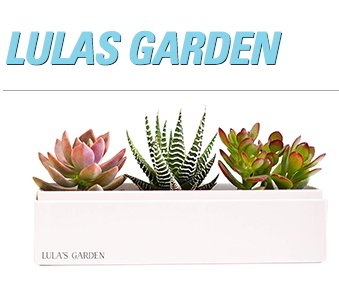 Lula’s Garden Sweepstakes