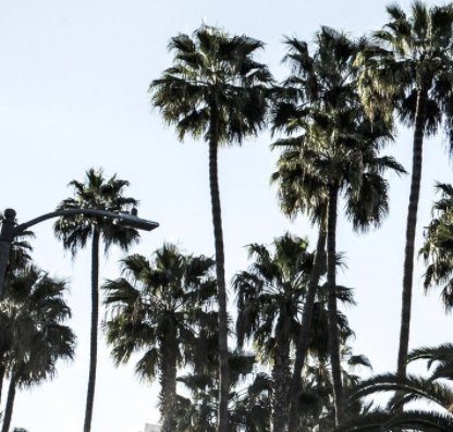 Luxe Getaway to LA + Shopping Spree Sweepstakes