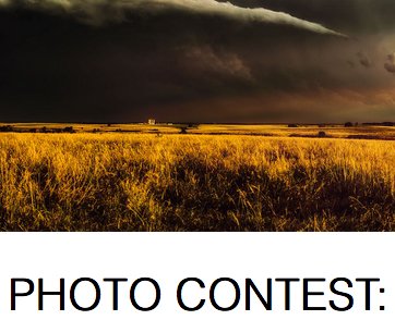 #MacroMay17 Photo Contest