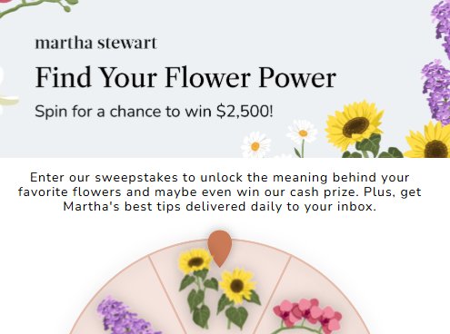 Martha Stewart Find Your Flower Power Spinner Sweepstakes – Win $2,500 Cash