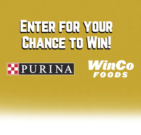 May is Pet Month Sweepstakes