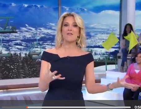 Megyn’s Golden Goodies Sweepstakes