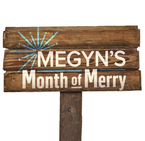 Megyn's Month Of Merry Sweepstakes