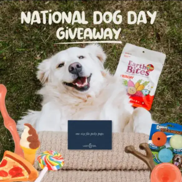 Midwestern Pet Foods National Dog Day Giveaway –  Win $400 Worth Of Dog Goodies