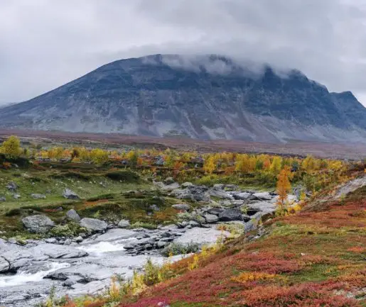 Minfulness Tour in Sweden Sweepstakes