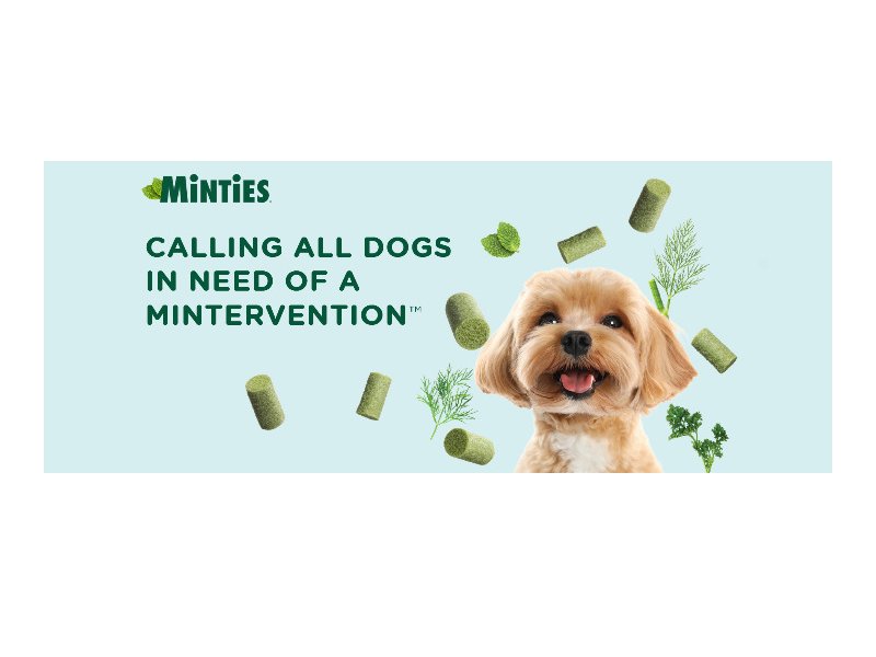 Minties Intervention Sweepstakes - Win Minties Dog Treats & Merch (200 Winners)