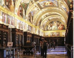 Misadventure Madness Contest