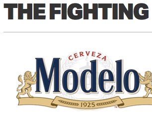 Modelo The Fighting Spirit Contest