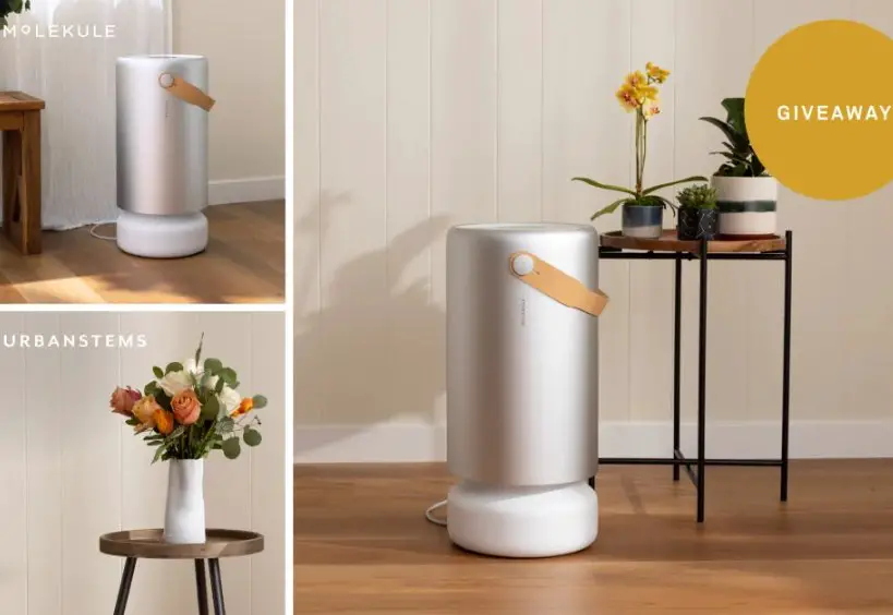 Molekule The Room To Bloom Giveaway - Win An Air Purifier & More