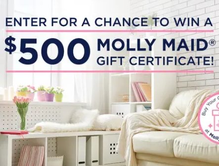 Molly Maid Clean Home for Mother’s Day Giveaway