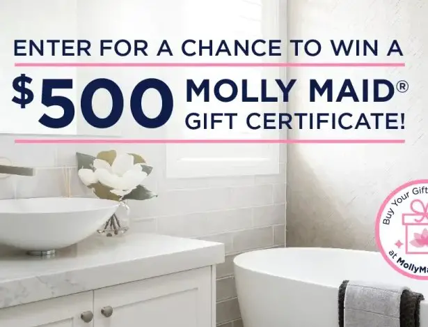 Molly Maid Holiday Clean Home Giveaway - Win A $500 Molly Maid Gift Card {5 Winners}