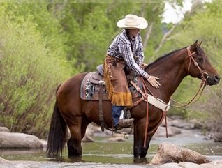 Monthly Horse Product Giveaway