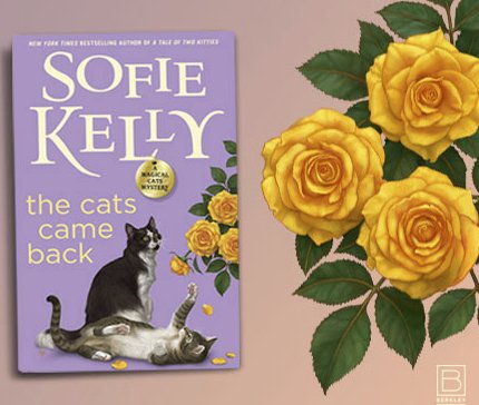 Monthly Mystery Sweeps