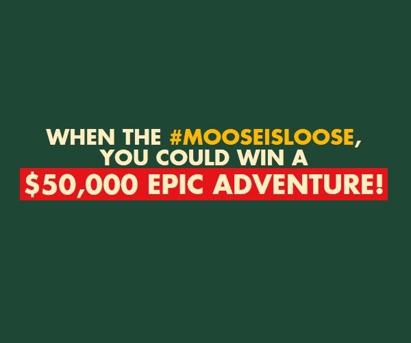 Moosehead Epic Trip Contest - Win A Travel Package Worth $50,000
