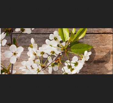 Mothers Day Giveaway