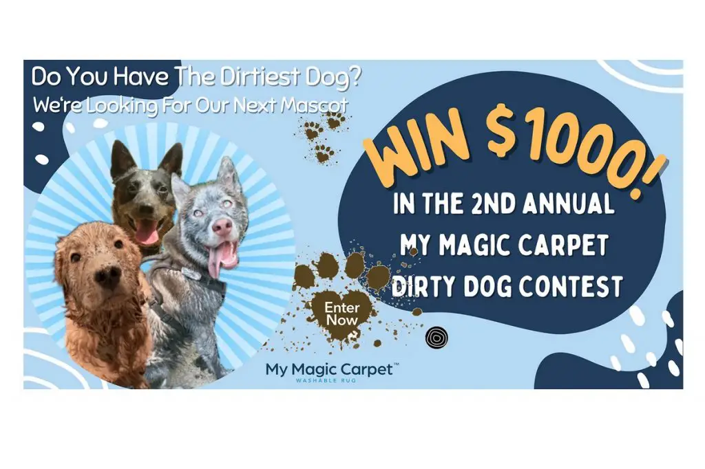 My Magic Carpet 2nd Annual Dirty Dog Contest - Win Cash, Gift Cards and DogTV Subscription
