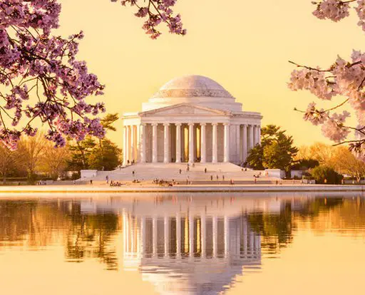 #MyDCcool: Springtime in the City Sweepstakes