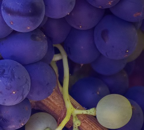 Napa Valley Travel Sweepstakes