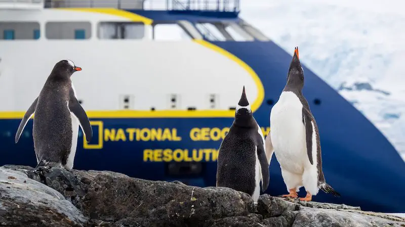 NatGeo Disney ourHome Earth Month Sweepstakes - Win An 11-Night National Geographic Cruise And Expedition To Antarctica