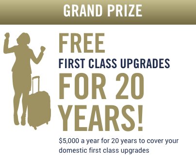 National Business Traveler Day Dream