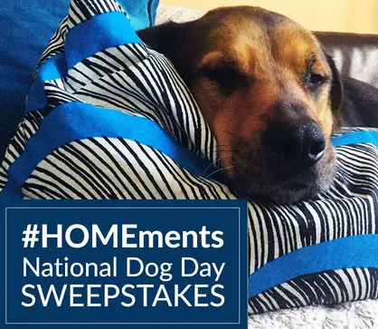 National Dog Day Sweepstakes