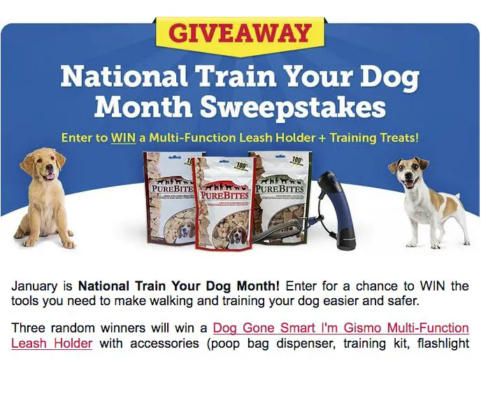 National Train Your Dog Month Sweepstakes