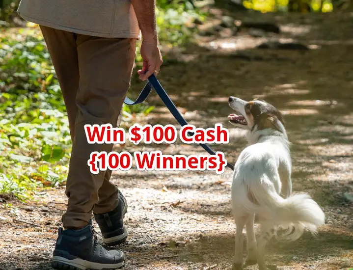 Nature’s Recipe National Walk Your Dog Week Sweepstakes - $100 Cash; 100 Winners