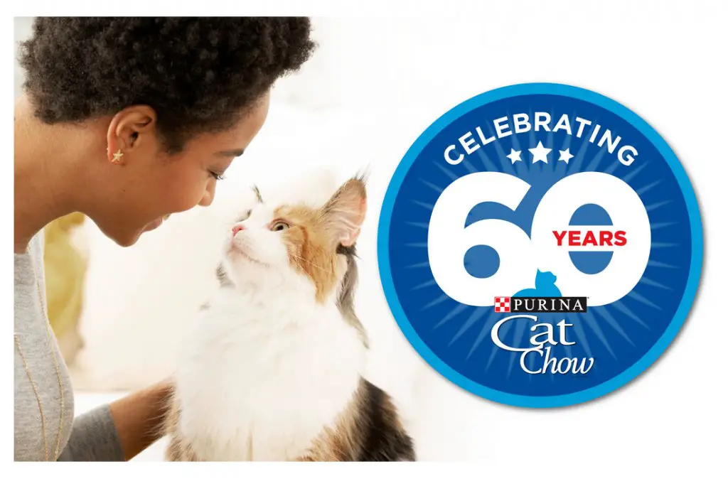 Nestlé Purina Cat Chow 60 Years. 60 Stories. Contest - Win $10,000 Cash, Anniversary Book & More