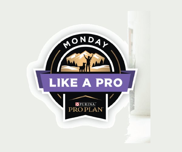 Nestle Purina PetCare Monday Like A Pro Challenge Sweepstakes - Win A Year's Supply Of Dog Food And Swag Bag