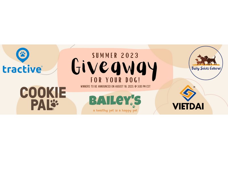 Network IT Inc. Summer 2023 Giveaway For your Dog - Win $200 Cash And Pet Products (5 Winners)