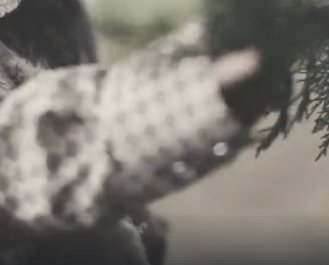 New Boots Sweepstakes