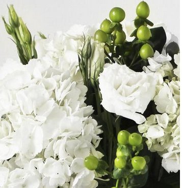 New Feeling Giveaway!