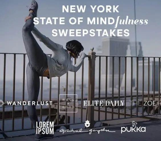 New York State of Mindfulness Sweeps