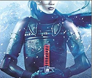 Nightblade's Vengeance Giveaway