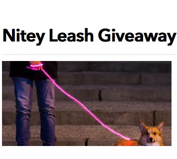 Nitey Leash Giveaway