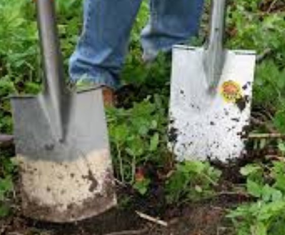 NWF $5000 for Spring