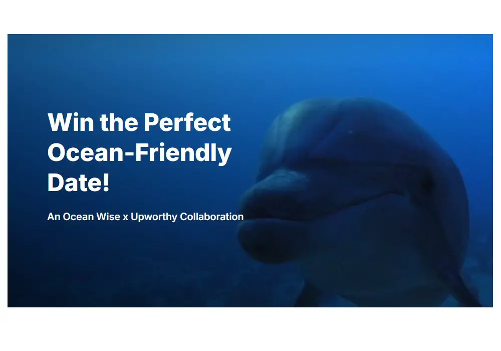 Ocean Wise + Upworthy For The Love Of The Ocean 2025 Sweepstakes - Win Festival Tickets, Netflix Subscription & More
