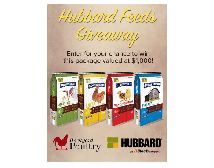 Ogden Publications Hubbard Feeds Giveaway - Win Four Bags Of Poultry Feeds