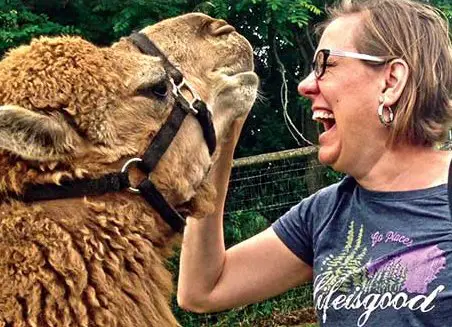 Oklahoma Spring 2017 Sweepstakes