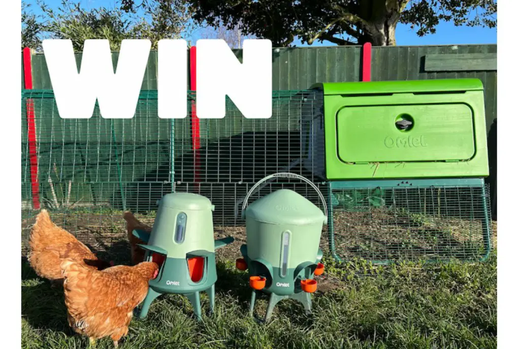 Omlet Sweepstakes - Win The Eglu Pro Set Up Of Dreams