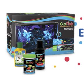 One Aquarium Kit! One Brilliant Shark