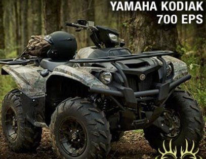 One Tough Bear for the Woods Sweepstakes