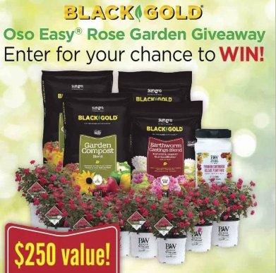 Oso Easy Rose Garden Giveaway