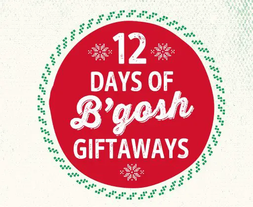 Our Favorite Things: 12 Days Of Christmas