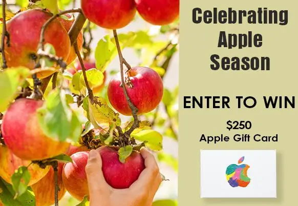 OYOBox $250 Apple Gift Card Giveaway