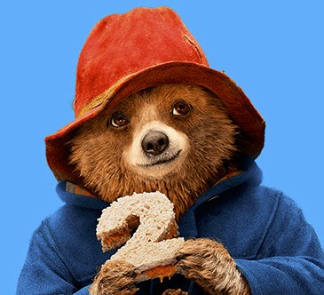 Paddington Bear Sweepstakes